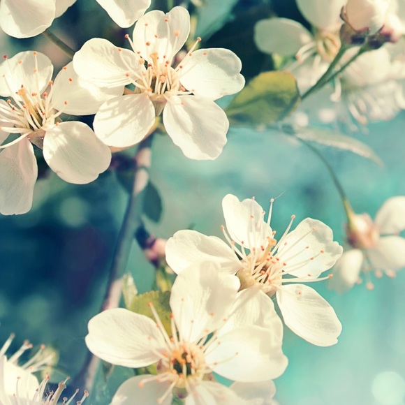 POSH AMBASSADOR - TOP RATED SELLER 🧡✨ - Picture 3 of 3